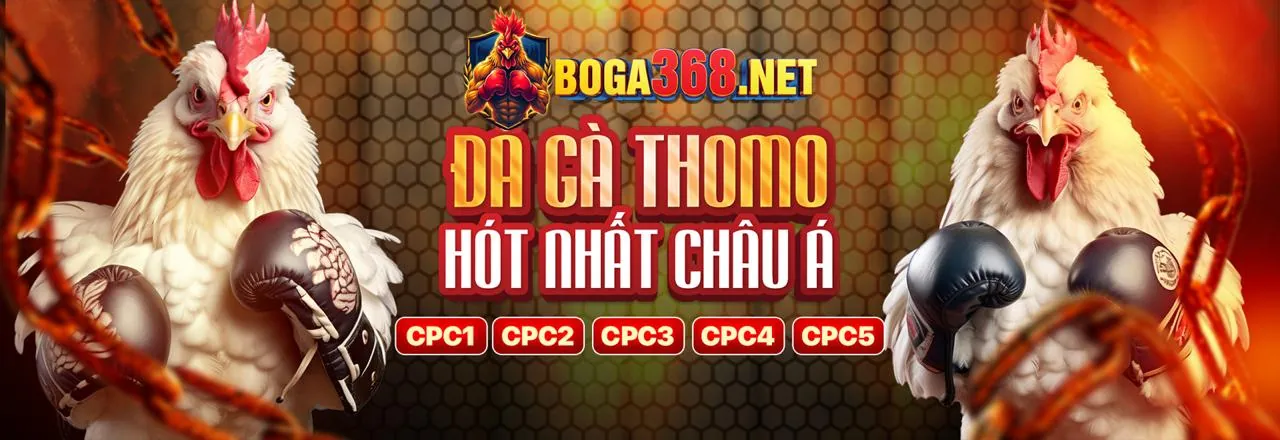Các tính năng chính của ứng dụng kkwin10 nhà cái